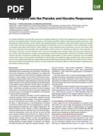 Download placebo by Muhammad El-Kady SN50273050 doc pdf