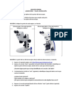 Laboratorio Microscopio - No Presencial