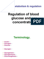 Regulation of Glucose Gas Blood