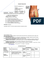 Proiect Injectia Intramusculara