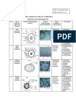 Tabel Jaringan Organ Tumbuhan Lina