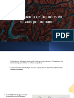 Distribucion de Liquidos en El Cuerpo Humano