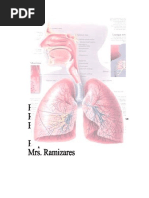 Pulmonary Tuberculosis (PTB)