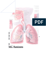 Pulmonary Tuberculosis (PTB)
