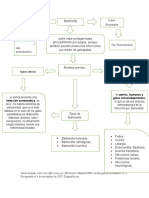 Generalidades Sobre Las Infecciones Por Bartonella