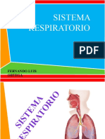 Sistema Respiratorio