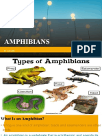 Amphibians, Gr7 Ch.3 Sec.3