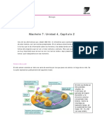 Machete - 7 Biología 08 UBA XXI