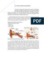 NOISE A PHYSICAL HAZARD IN THE WORKPLACE (Bahaya Fisik) Muhamad Sabili