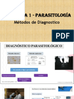 Practica 1 y 2 - Parasitología