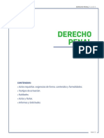 Clase 9 Derecho Penal - Procesal Penal