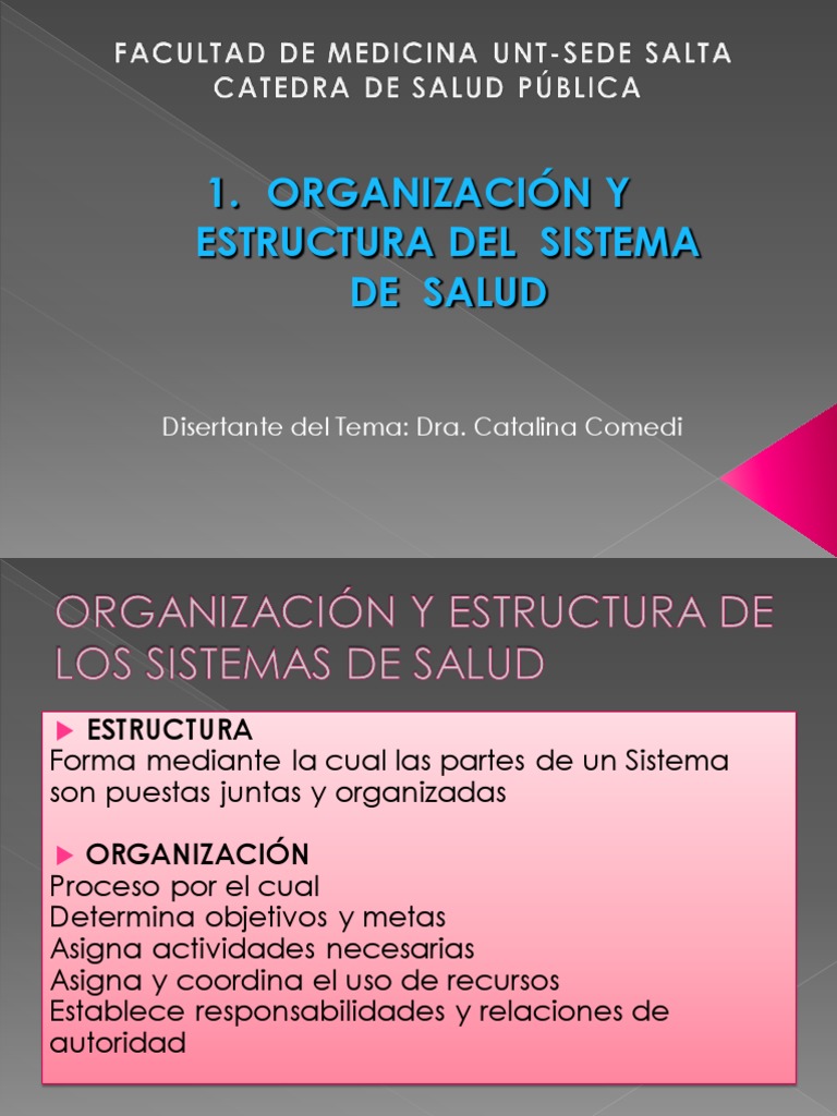 Estructura y Organización del Sistema de Salud | PDF | Sistema de salud ...