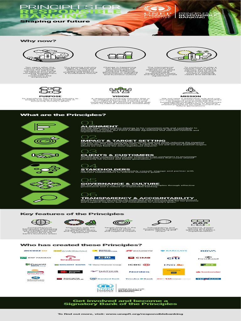PrinciplesOverview Infographic | PDF | Governance | Sustainability
