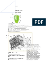 Edited - LKPD Struktur Dan Fungsi Tumbuhan (1)_WPS PDF Convert
