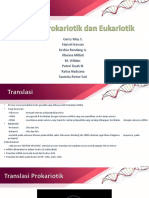 FG 7 Translasi Prokariotik Dan Eukariotikppt