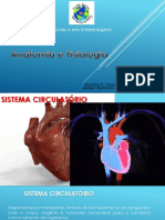 Sistema cardiovascular 6_compressed(1)