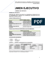 02 - Resumen Ejecutivo - GUANÁBANA - OK