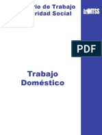 Trabajo Doméstico