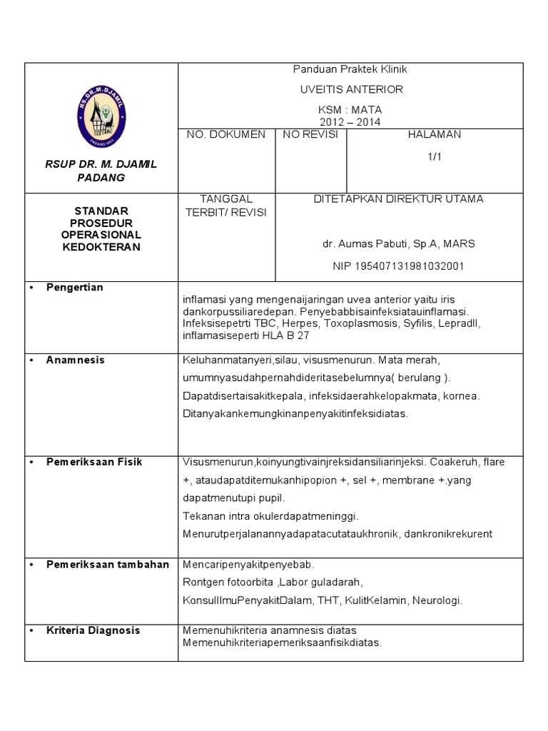 Panduan Uveitis Anterior | PDF