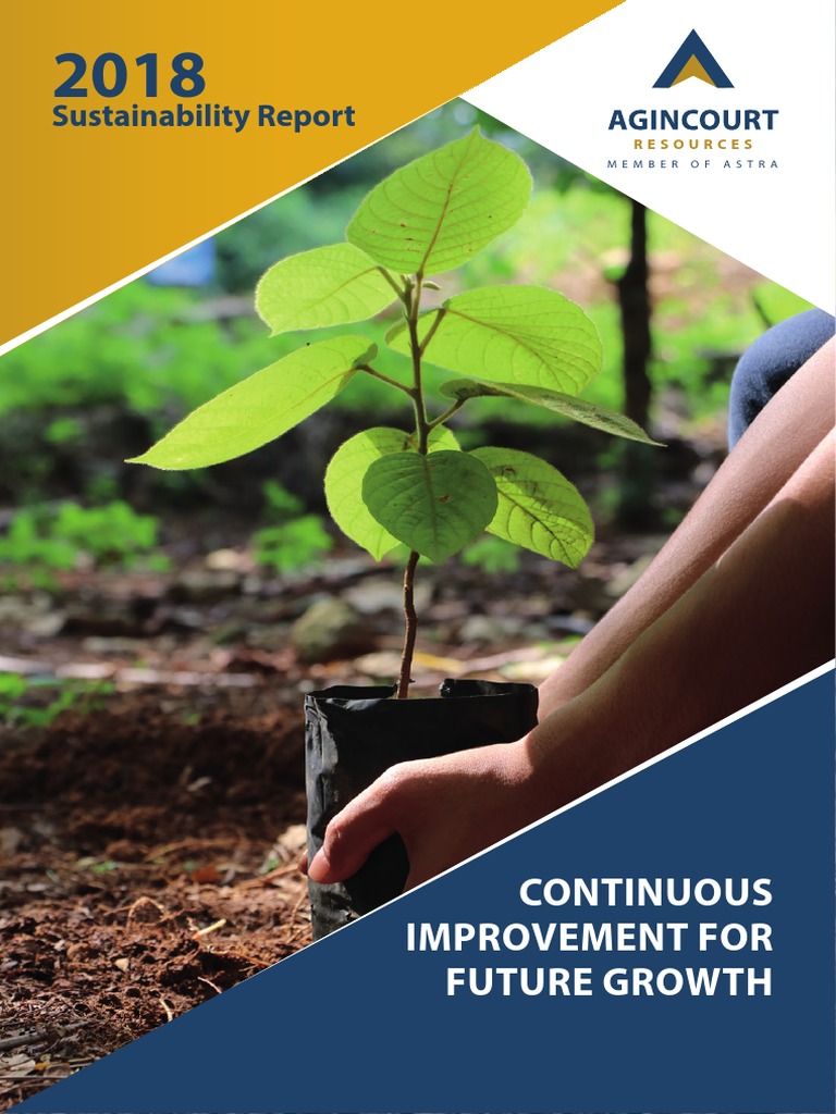 Sustainability Report 2018 | PDF | Mining | Sustainability