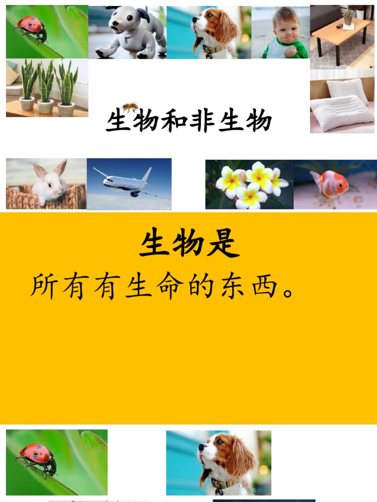 生物和非生物 Pdf