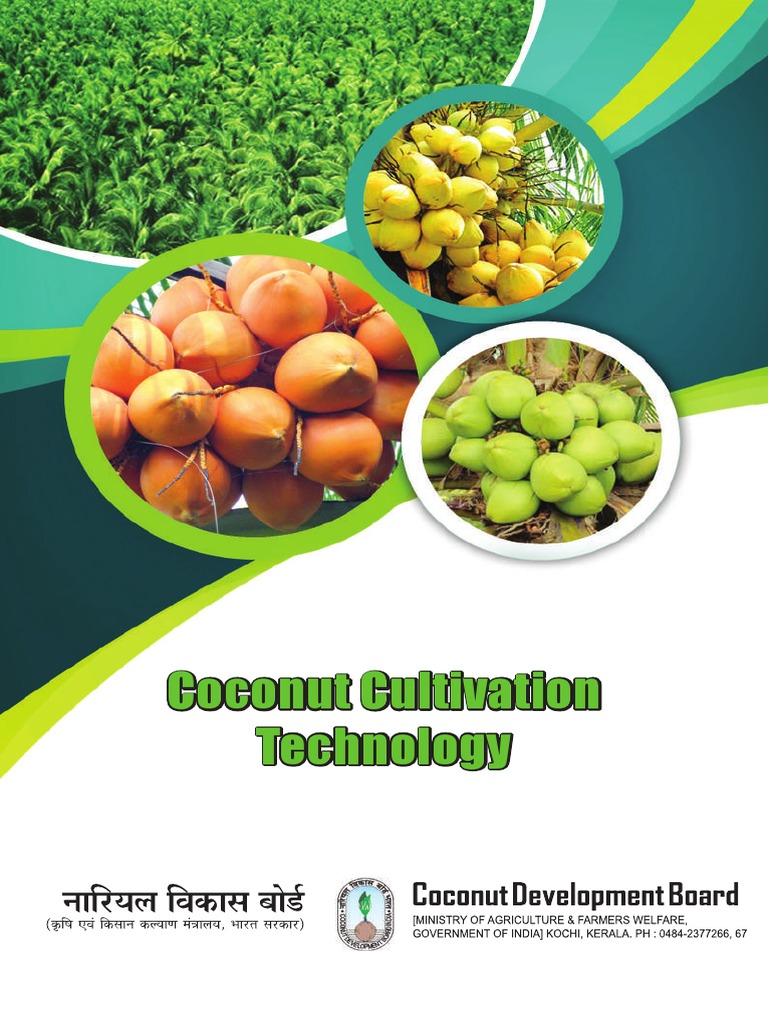 Coconut Cultivation Technology PDF Coconut Legume