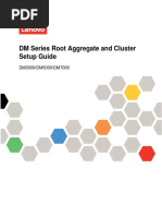 DM Series Root Aggregate and Cluster Setup Guide