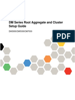 DM Series Root Aggregate and Cluster Setup Guide