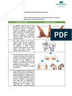 Ejercicios manos túnel carpo