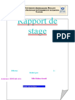 224831150 Rapport de Stage AXA