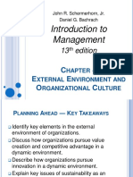 External Environment Organization Culture