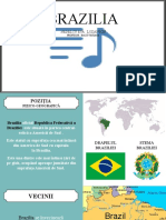Brazilia - Nedelcu + Lozan Proiect La Geografie