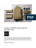 An Intro To MOLLE, PALS, and Your Everyday Carry