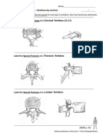 Label The Special Features of A (C3-C7) :: Cervical Vertebra