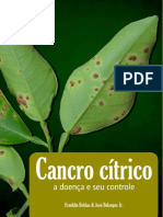 livroZcancro_corrigido_setembro (1)