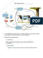 The Carbon Cycle