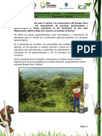 Plan de Mejoramiento Agroambiental (Eliuth Antonio Montes Ramos)