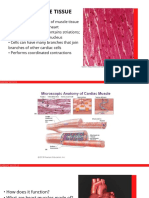 Part 1 - Cardiac Muscle Tissue