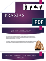 Praxias Iipracial Bases2 Ceutec Ivperd2015 Clase2
