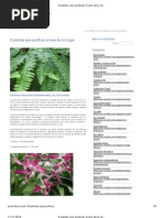 8 plantas que purifican el aire de tu hogar _ Ecoosfera