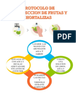 Procolo de Desinfeccion de Hortofruticolas y Manos