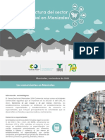 Infografia Estructura Sector Comercial Manizales (Nov2016)