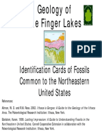 FLI FossilIDcards