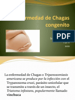 Chagas Congenito 2021