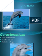 320404147-Delfin