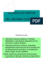 Glandulas Anexas Sist. Digest.