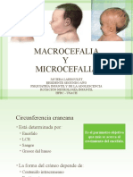 Macro y Microcefalia JL