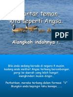 Belajar Dari Angsa