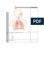 ID Questions Question Image 1: Respiratory System Word