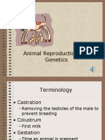 Animal Reproduction and Genetics